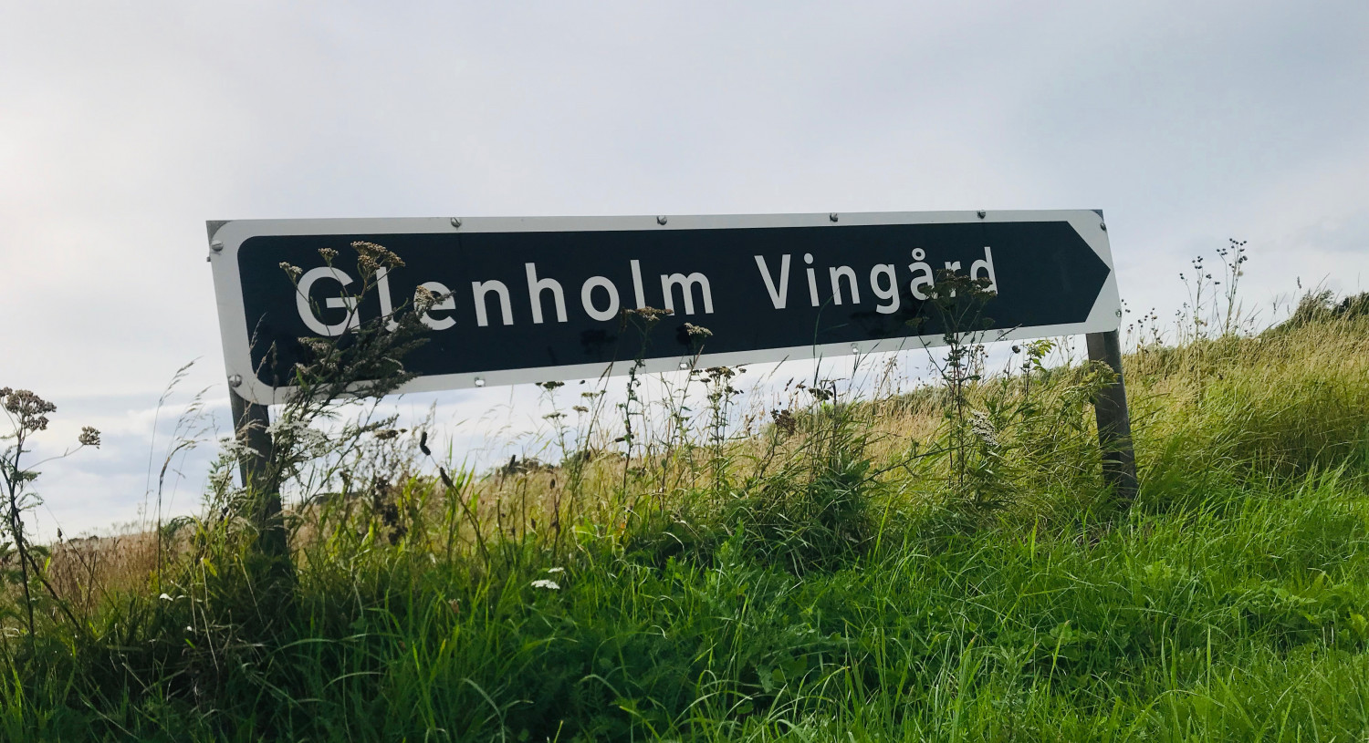 visit-nordjylland-annemette-voss-glenholm-vingard-4